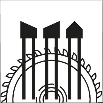 Dantų formos: trikampiai skirtingų krypčių dantys 