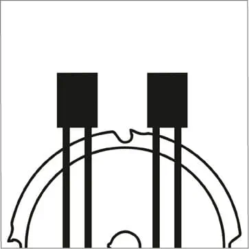 Dantų formos: plokščiadantis