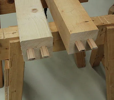 Kaiščių įstatymas